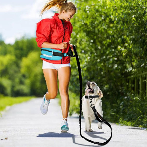 Hands-Free Dog Leash