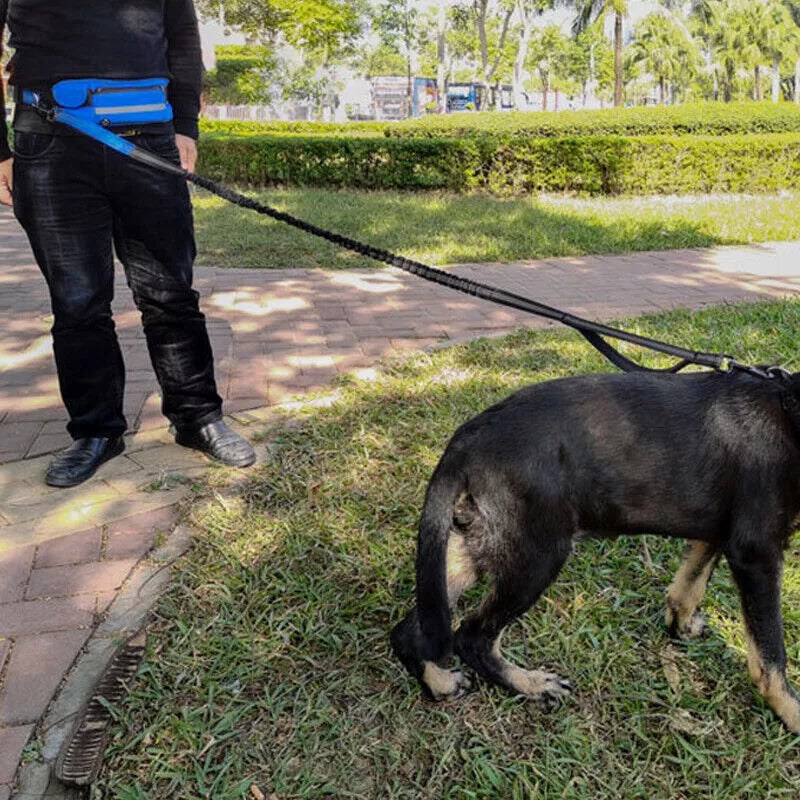 Hands-Free Dog Leash