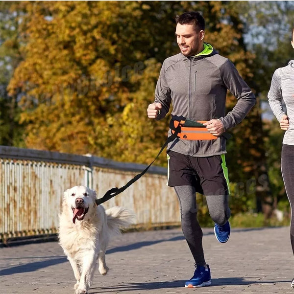 Hands-Free Dog Leash