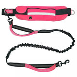 Hands-Free Dog Leash