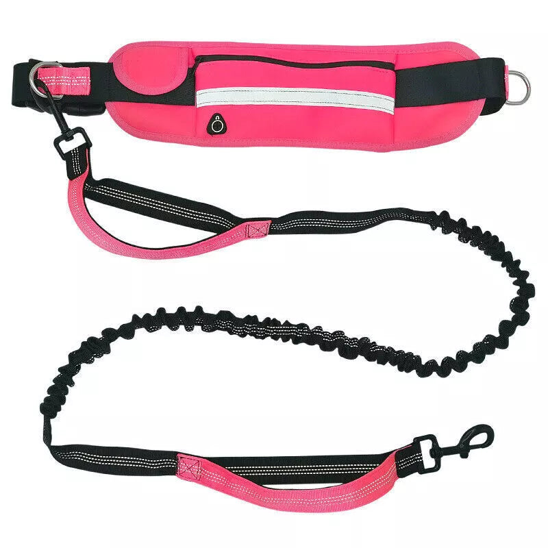 Hands-Free Dog Leash