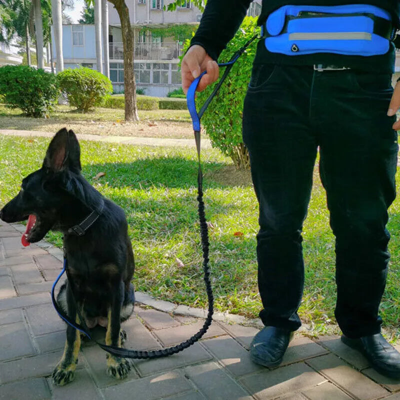 Hands-Free Dog Leash